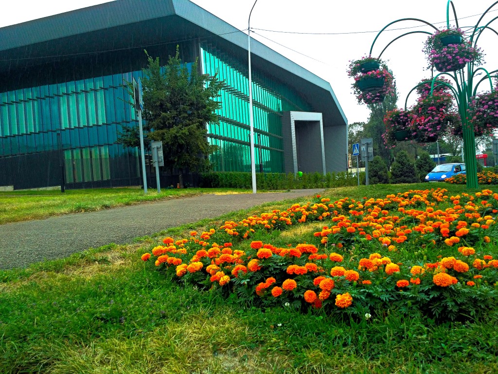 Almaly Office - Almaty